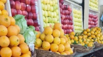 تباين أسعار الخضراوات والفاكهة في أسواق محافظة قنا مع وصول البرتقال للبيع بـ15 جنيهاً